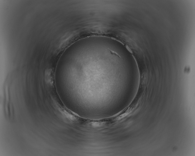 X0000093561202200710151100