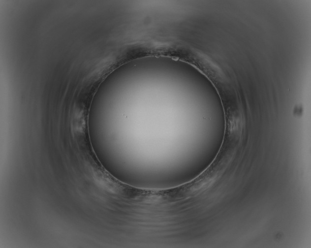 X0000093561204200710151100