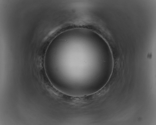 X0000093561205200710151100
