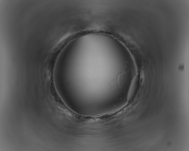 X0000093561206200710151100