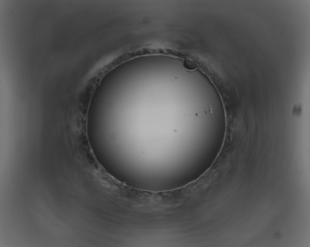 X0000093561207200710151100