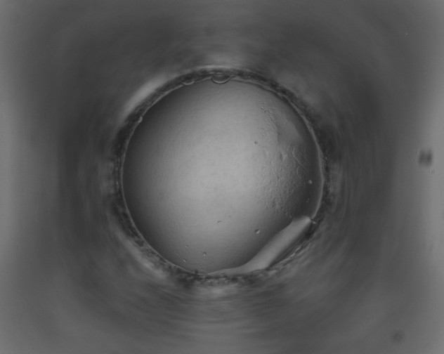 X0000093561208200710151100