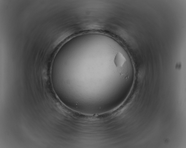 X0000093561209200710151100