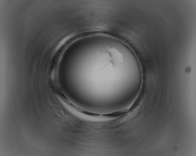 X0000093561210200710151100