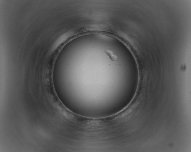 X0000093561211200710151100