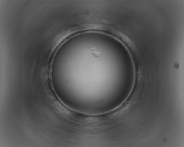 X0000093561212200710151100