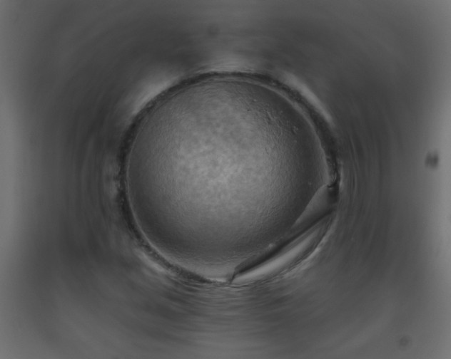 X0000093561213200710151100