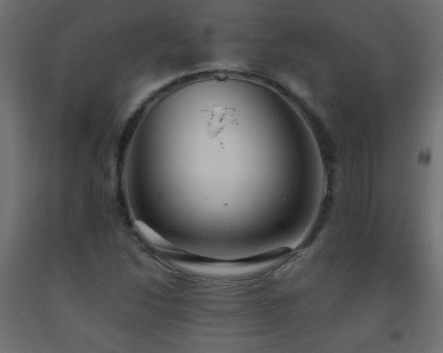X0000093561214200710151100