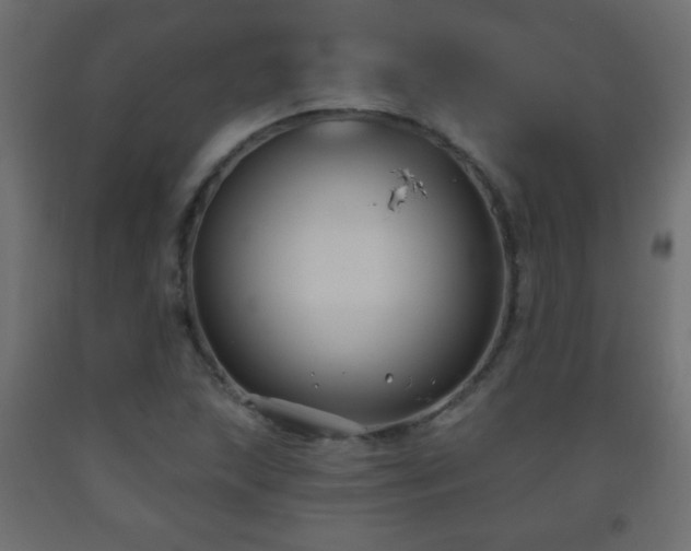 X0000093561215200710151100