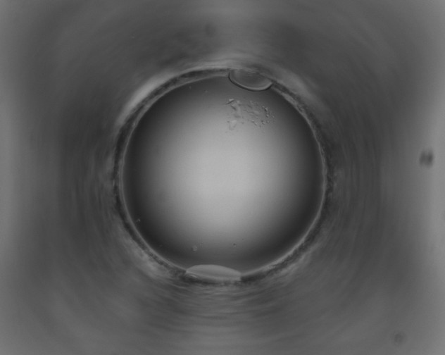 X0000093561216200710151100