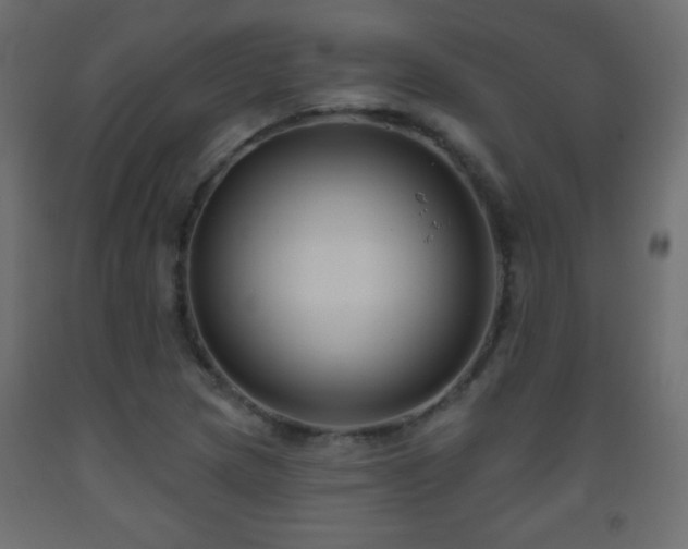 X0000093561217200710151100