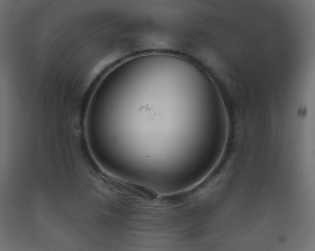 X0000093561218200710151100