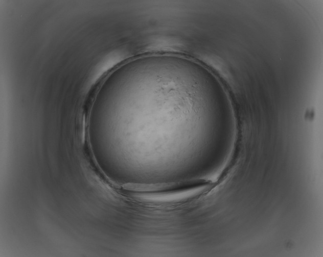 X0000093561219200710151101