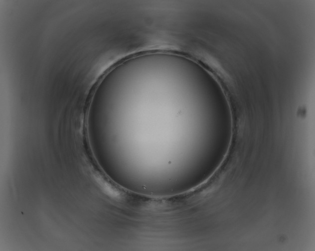 X0000093561220200710151101
