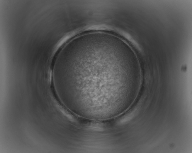 X0000093561221200710151101