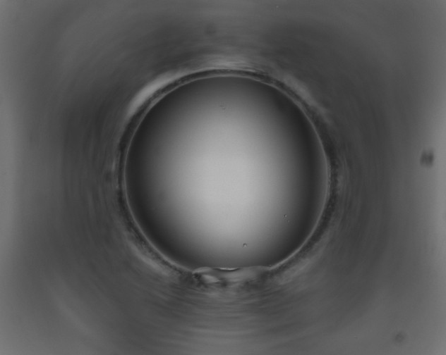 X0000093561222200710151101