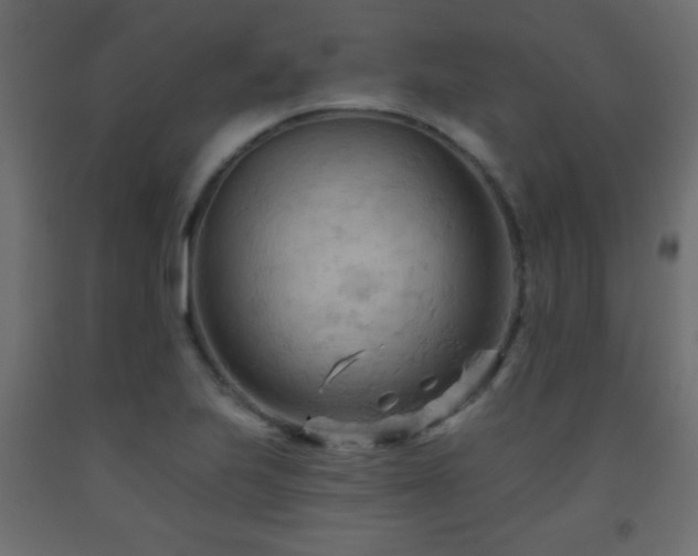 X0000093561223200710151101