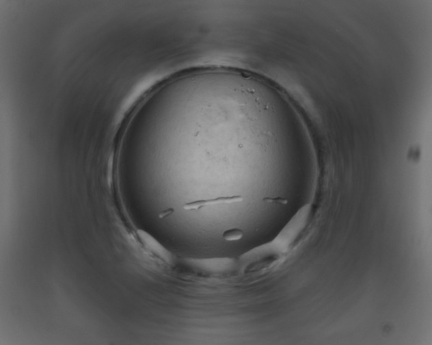 X0000093561224200710151101