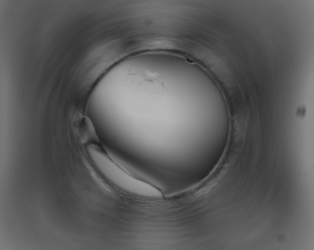 X0000093561225200710151101