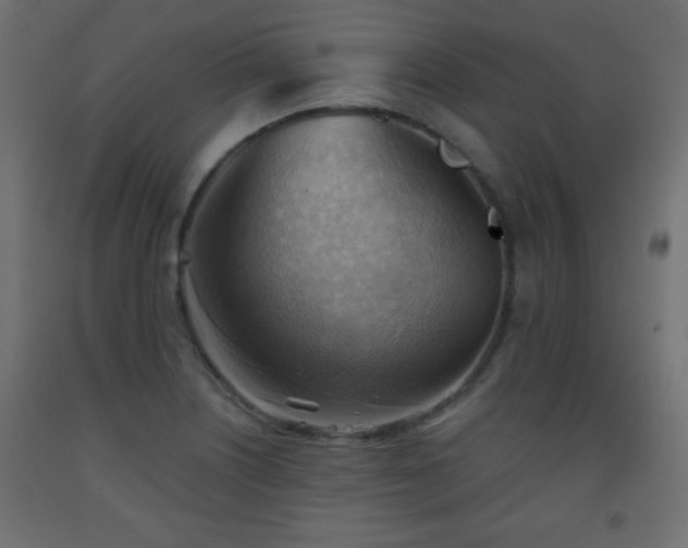 X0000093561226200710151101