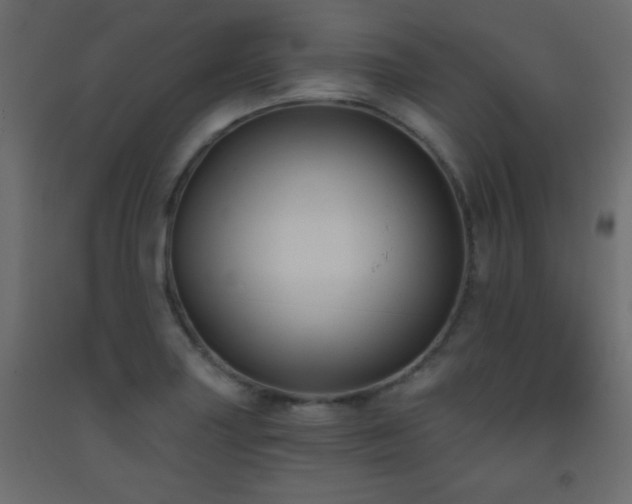 X0000093561227200710151101