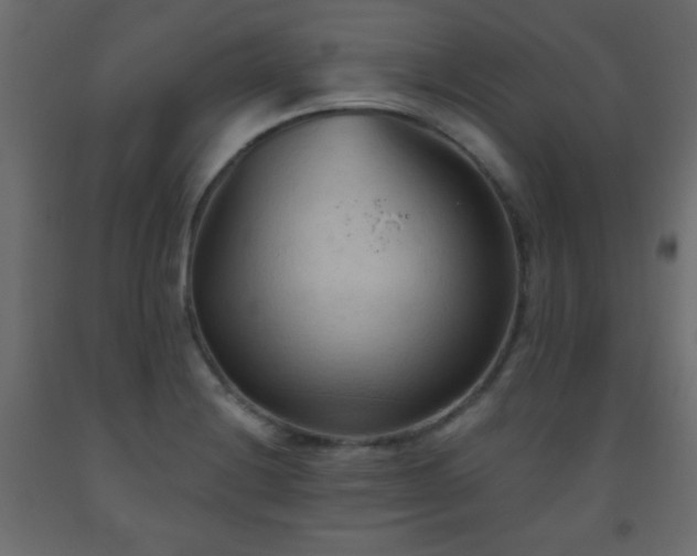 X0000093561228200710151101