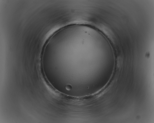 X0000093561229200710151101