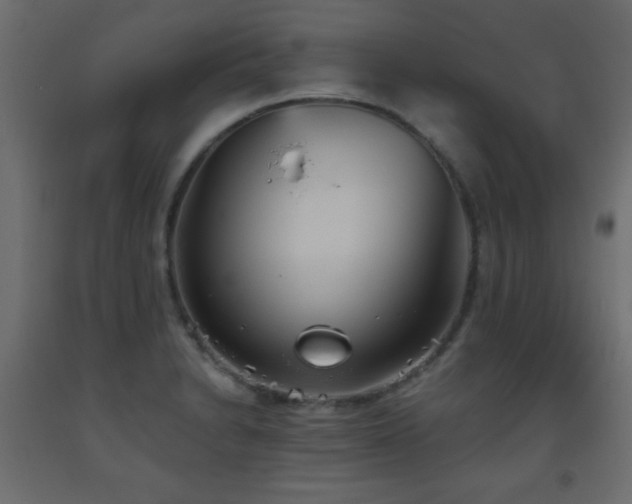 X0000093561230200710151101