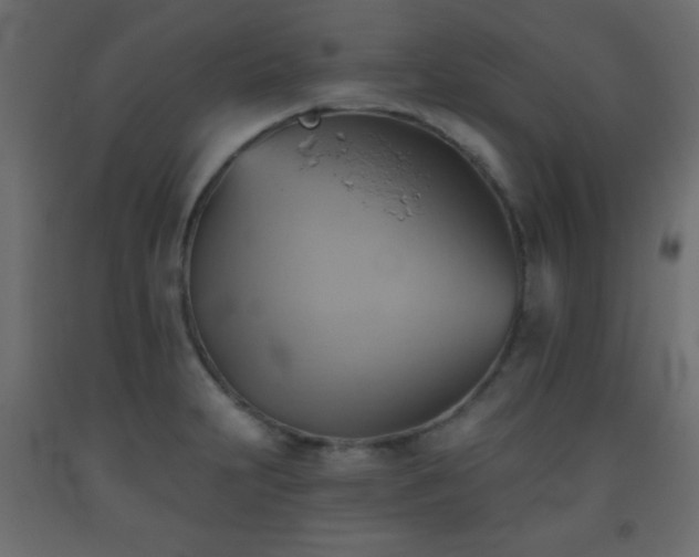 X0000093561231200710151101