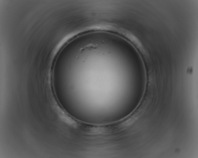 X0000093561232200710151101