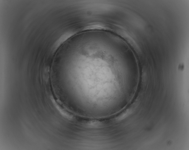 X0000093561233200710151101