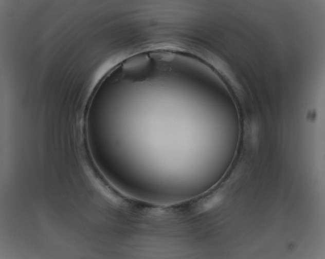 X0000093561234200710151101