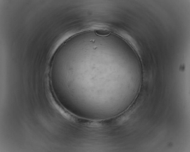 X0000093561235200710151101