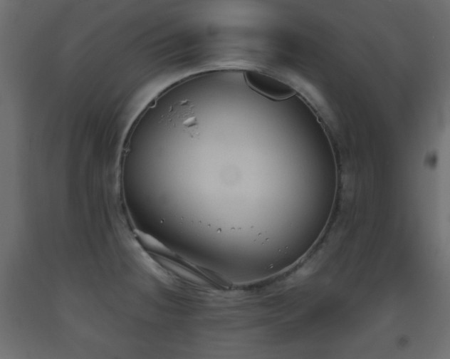 X0000093561236200710151101