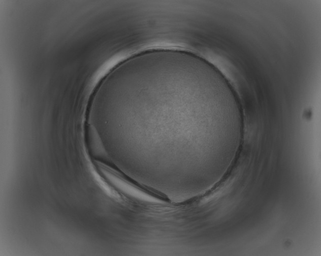 X0000093561237200710151101