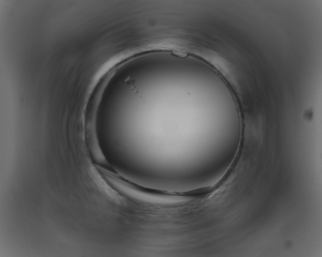 X0000093561238200710151101