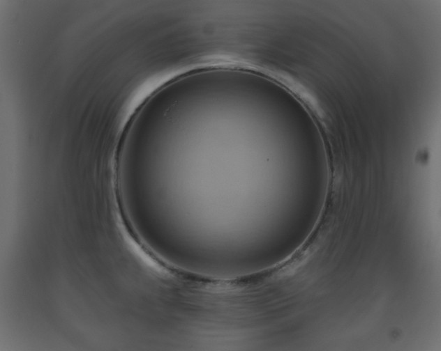 X0000093561239200710151101
