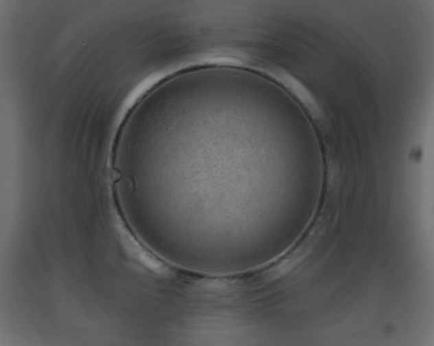 X0000093561240200710151101