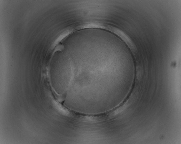 X0000093561241200710151101