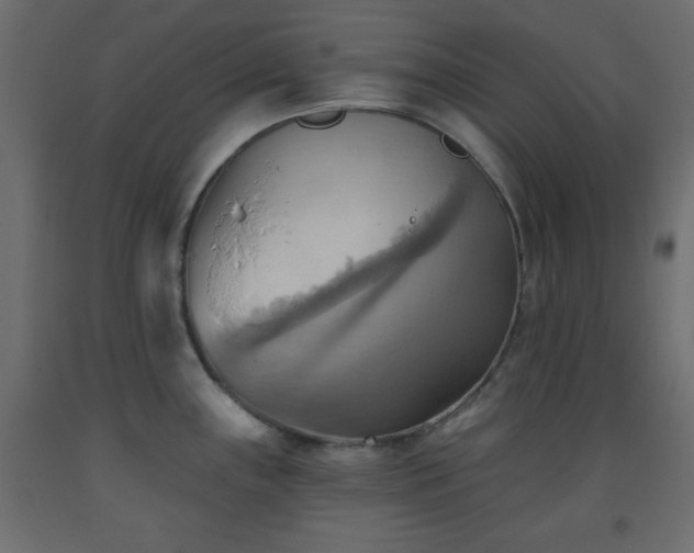 X0000093561243200710151101
