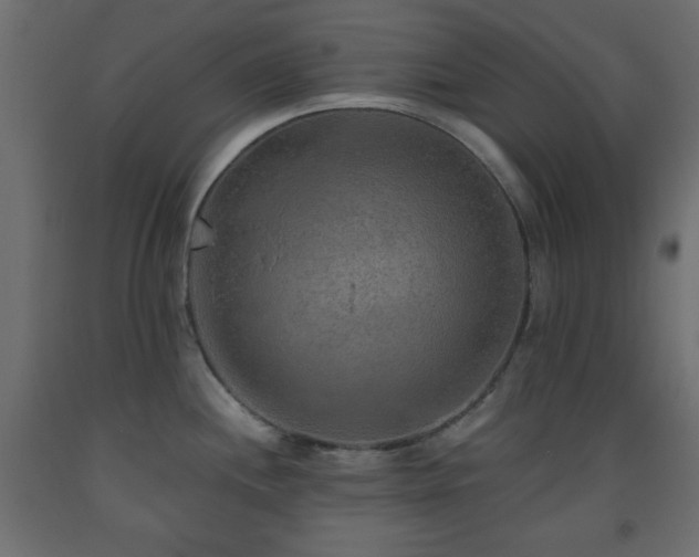X0000093561244200710151101