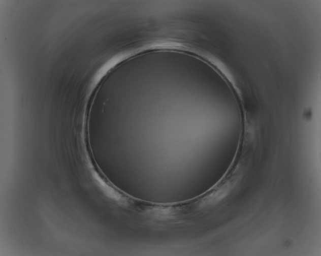 X0000093561245200710151101