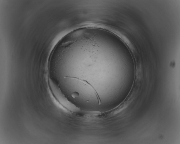 X0000093561247200710151101