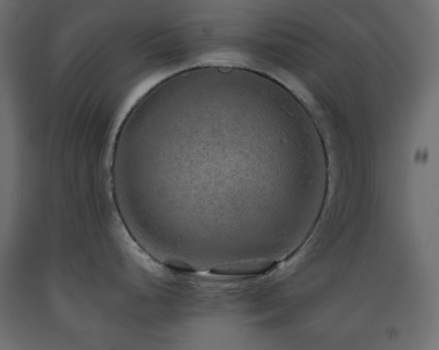 X0000093561248200710151101