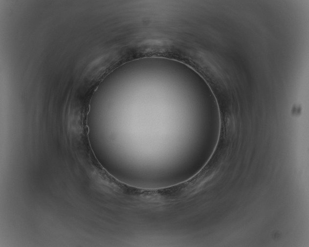 X0000093561250200710151100
