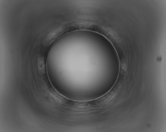 X0000093561252200710151100