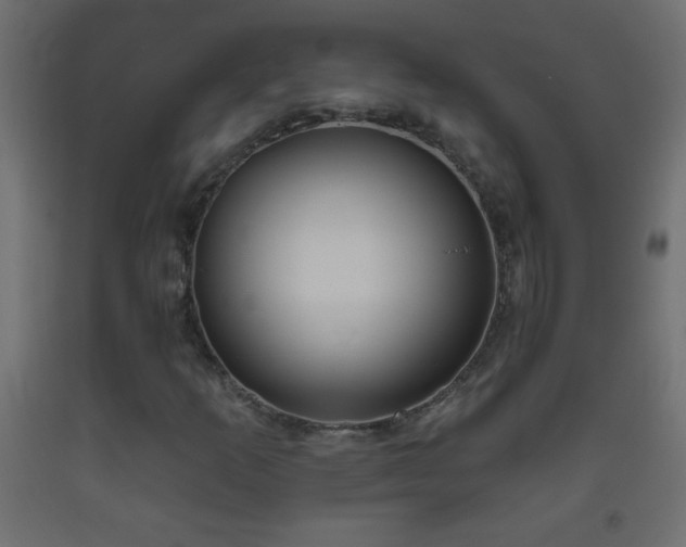 X0000093561253200710151100