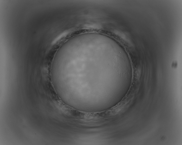 X0000093561254200710151100