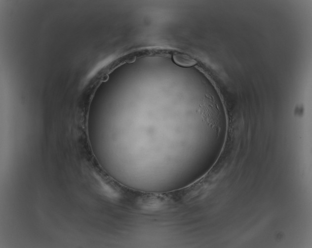 X0000093561255200710151100
