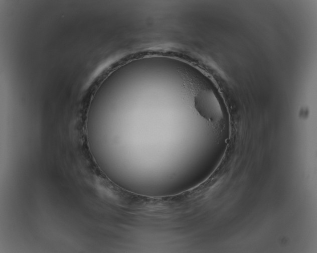 X0000093561256200710151100